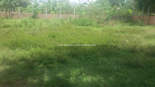 ដីលក់បន្ទាន់​ Land for sale