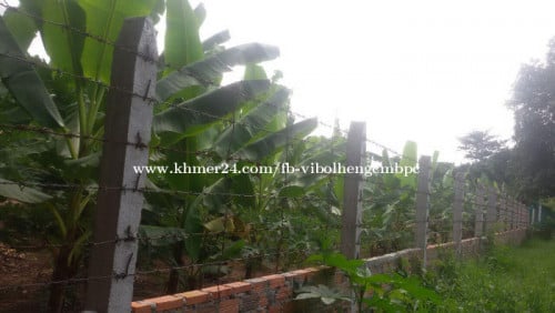 ដីលក់បន្ទាន់នៅក្រុងតាខ្មៅ( Land for Sale)