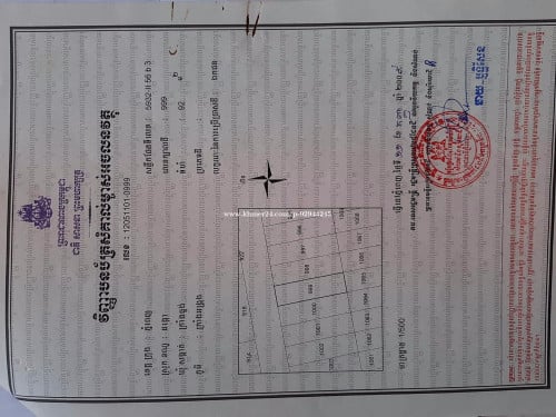 ដីឡូរលក់បន្ទាន់នៅជិតបុរីពិភពថ្មីឈូកមាស