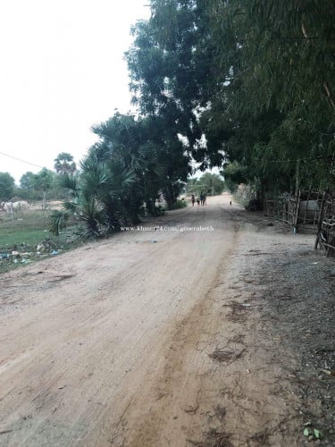 ដីលក់ ឬជួល ចុះពីផ្លូវ៥១ បន្តិច ប្លង់រឹង