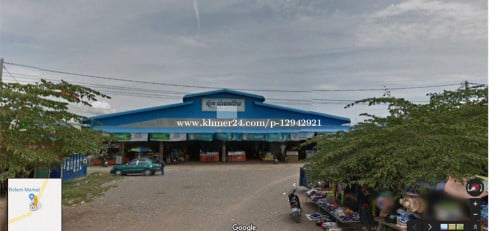 ដីចំការ 8 ហិតា លក់ ប៉ៃលិន ជាប់ផ្លូវកៅស៊ូ 40m