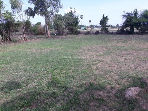 ដីលក់បន្ទាន់