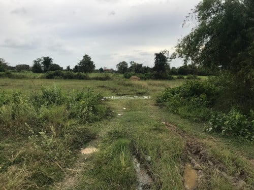 ដីលក់ខណ្ឌដង្កោ