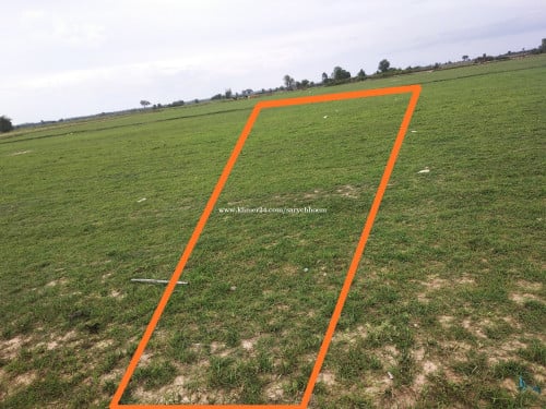 លក់ដីនៅក្បែររីសត និងកាស៊ីណូសៀងហៃ