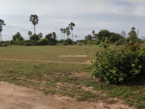 ដីភូមិលក់នៅជិតប្រសិទ្ធ