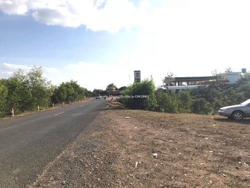 Good Land for Business