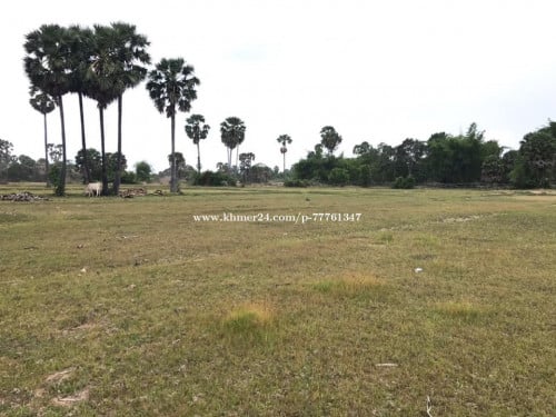 ដីលក់ម្ចាស់ផ្ទាល់ក្បាល60m ជាប់ផ្លូវបេតុង