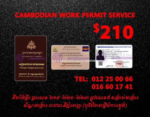 Work Permit