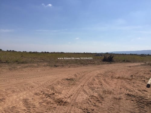 ដីចំការ៥៧ហិតា2,600$/Ha​ (ចំណូលពីការជួល៥,០០០$ក្នុង១ឆ្នាំ)