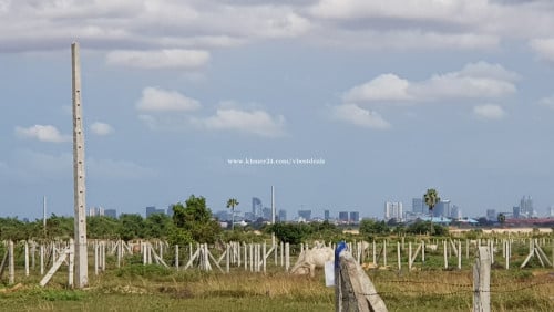 ដីជិតបឹងតាមោក តម្លៃក្រោមទីផ្សារ​ លក់បន្ទាន់