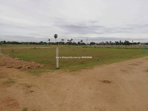 ដីឡូត៍ក្បែរបឹងតាមោគ(ក្រុងរណបជប៉ុន)