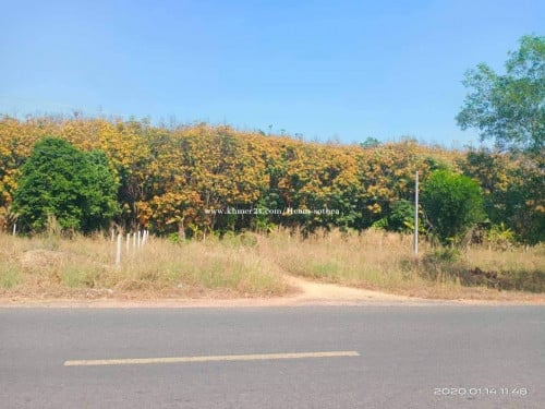 ដីក្នុងក្រុងស្ទឹងត្រែង