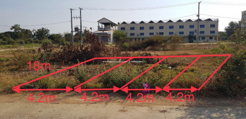 ដីសាឡាត់ ចុះថ្លៃឲ្យ $3,500ភ្លាមៗ