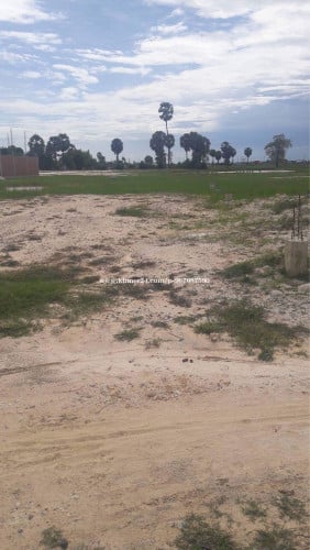 ដីឡូត៍លក់បន្ទាន់