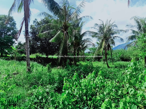 Land for Sale at kompong som province