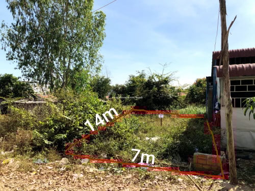 ដីសម្រាប់លក់ឡៃឡុង (ទំនប់កប់ស្រូវ)