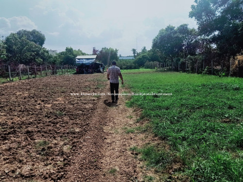 Land for Sale - Khan chbaompov Phnom Penh , Size: 20m x 90m