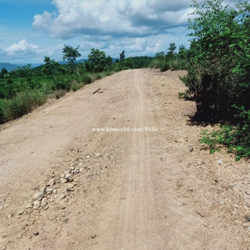 ដសមរបលកនភមមល ឃសនទរ សរកភនករវញ ខតដពធសត តមល 1000USD១មតរកបល