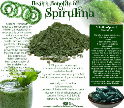 រោងចក្រដំណាប់plumនិងspirulina