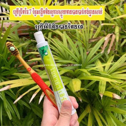 ថ្នាំដុសធ្មេញឱសថបុរាណ បូតាយ៉ា-BOTAYA Herb Natural Toothpaste
