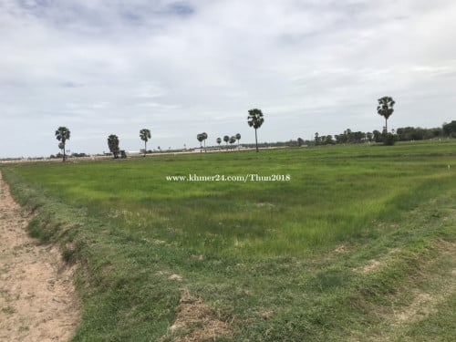 ដីលក់អង្គស្នូល