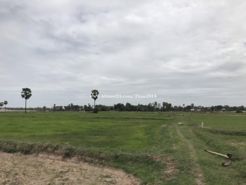 ដីលក់អង្គស្នូល