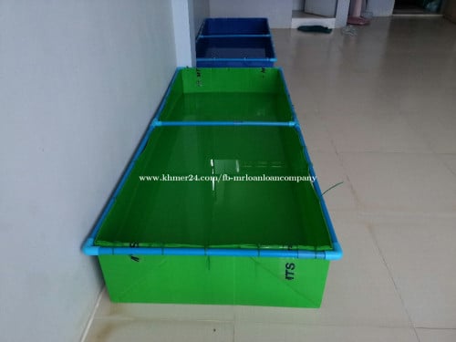 future board អាងជ័រសប្បនិម្មិត ភ្ញាស់ត្រីបង្កង