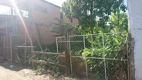 ដីលក់ឬជួល នៅពោចិនតុង (ម្ចាស់ដើមផ្ទាល់) / land for sale