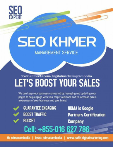 SEO Professional Services