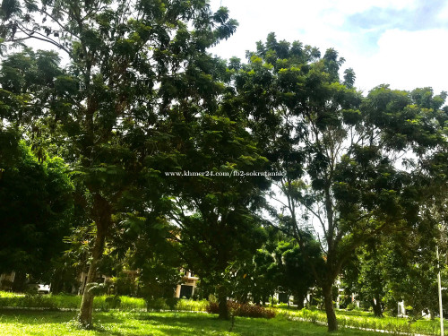 Urgent Shophouse for Sale - ផ្ទះលក់បន្ទាន់ជាប់ផ្សារម៉ាក្រូសៀមរាប (5mx15m)