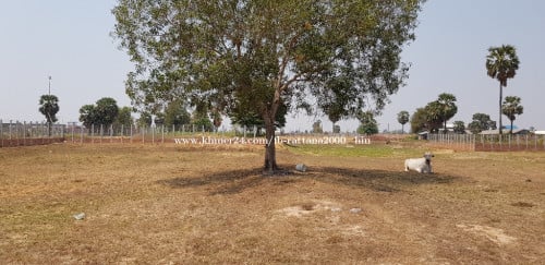 ដីលក់សៀមរាប