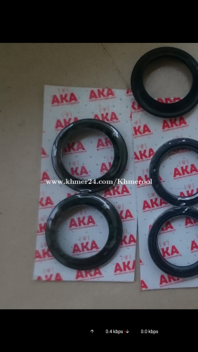 Fork seals Honda Ducati Aprilia KTM. Siem Reap