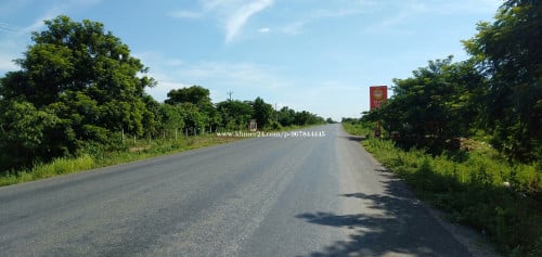 ដីចំការស្វាយជាប់ផ្លូវ41លក់បន្ទាន់