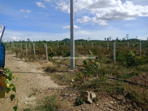 ដីលក់ទំហំ 20*25m ក្រុងច្បារមន ខេត្តកំពង់ស្ពឺ