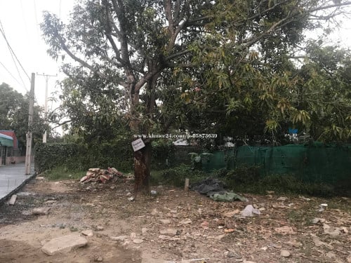 ដីលក់បន្ទាន់ នៅច្បារអំពៅ