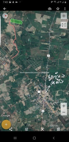 ដីចំការស្វាយនៅគិរីរម្យ សម្រាប់លក់ ឬជួល