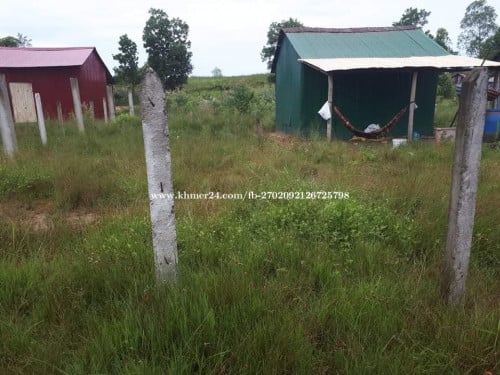 លក់ដីឡូតិ៍បន្ទាន់!