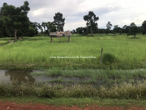 ដីលក់បន្ទាន់