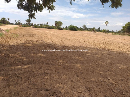 ដសអតបផត លកករមតមលទផសរ