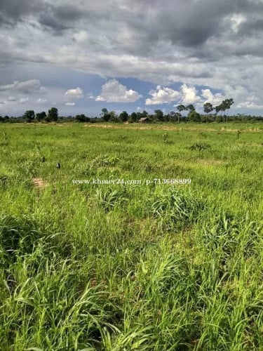 ដីលក់ជាប្រភេទដីចំការអាចវិនិយោគបានទៅលេីកសិកម្មជាច្រេីនប្រភេទព្រោះជាដីល្អ