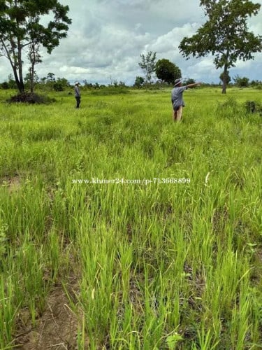 ដីលក់ជាប្រភេទដីចំការអាចវិនិយោគបានទៅលេីកសិកម្មជាច្រេីនប្រភេទព្រោះជាដីល្អ
