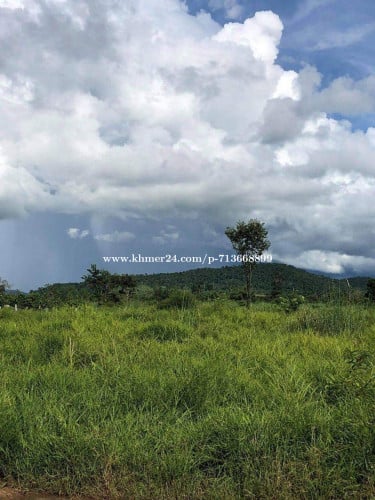 ដីលក់នៅជិតប្រលានថ្មីចំងាយប្រហែល7គីពីព្រលានថ្មីនិងចន្លោះប្រសាទបឹងមាលា
