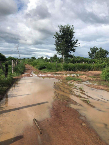 ដីលក់នៅជិតប្រលានថ្មីចំងាយប្រហែល7គីពីព្រលានថ្មីនិងចន្លោះប្រសាទបឹងមាលា