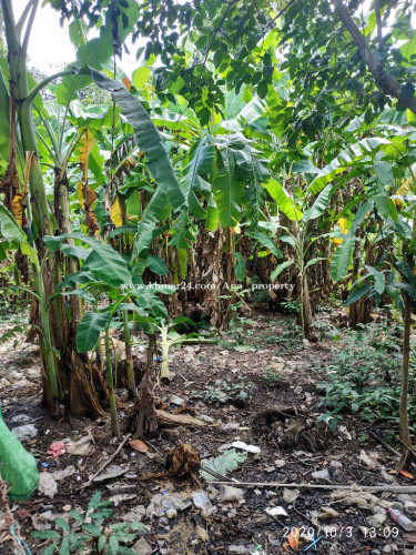 ដីសំរាប់លក់