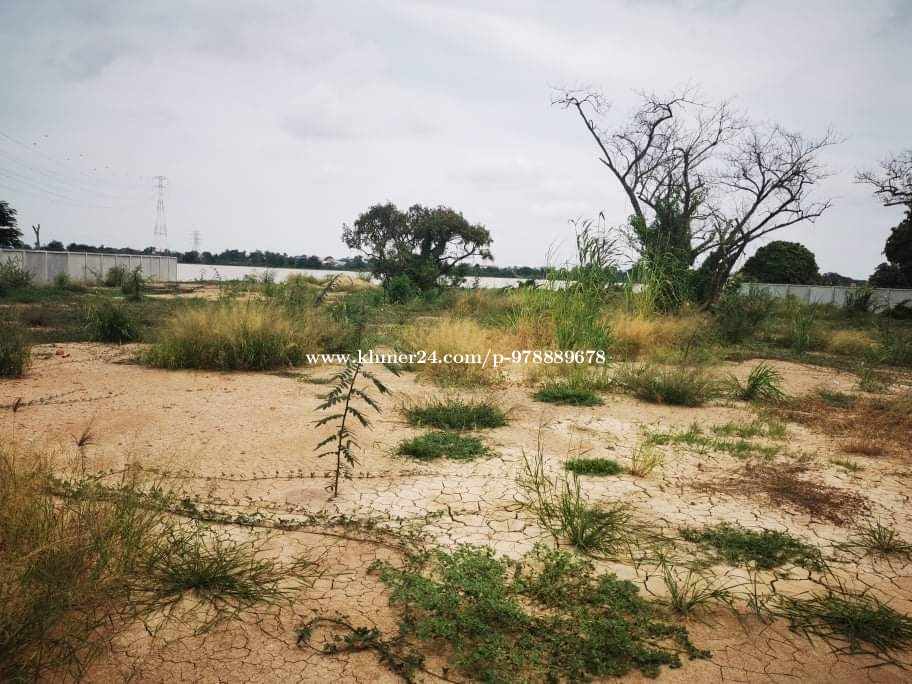 Land for Sale or Rent 2M or 5,000 per month. in Preaek Ta Teaen