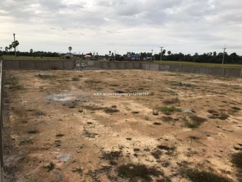 លក់ រឺ ដីជួល Land for Rent 出租土地面积