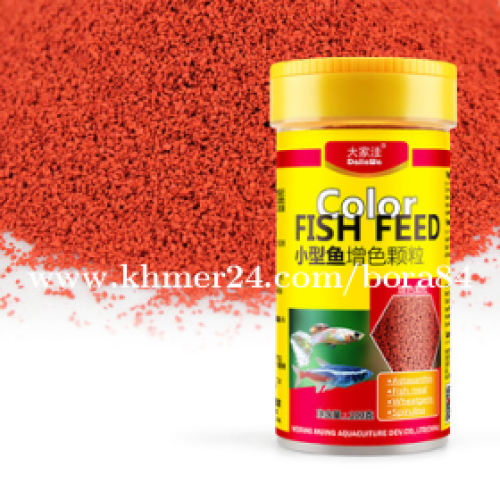 Fish feed ចំនីត្រីលម្អ