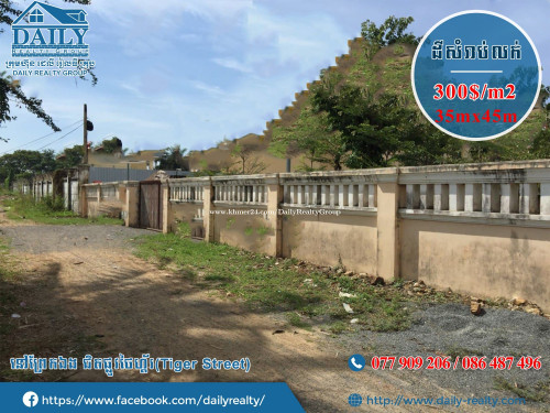 ដីលក់នៅព្រែកឯងជិតផ្លូវថៃហ្គ័រ(Street 114)