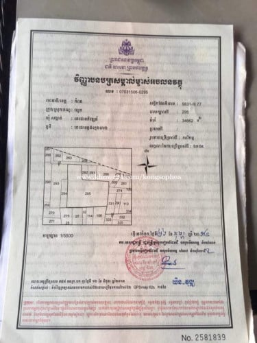 ដីលក់ នៅកំពត