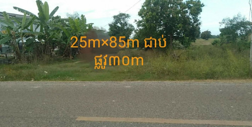 ដីលក់បន្ទាន់